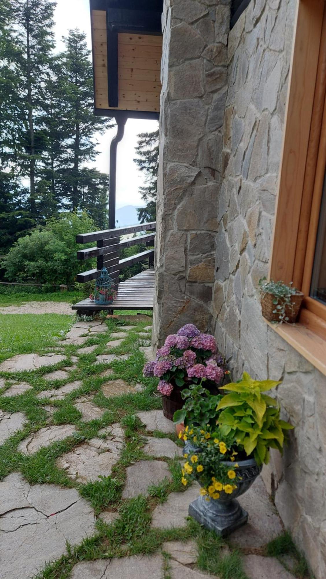 Rogla - Chalet Mojca Pokrajculja Zrece Exterior photo
