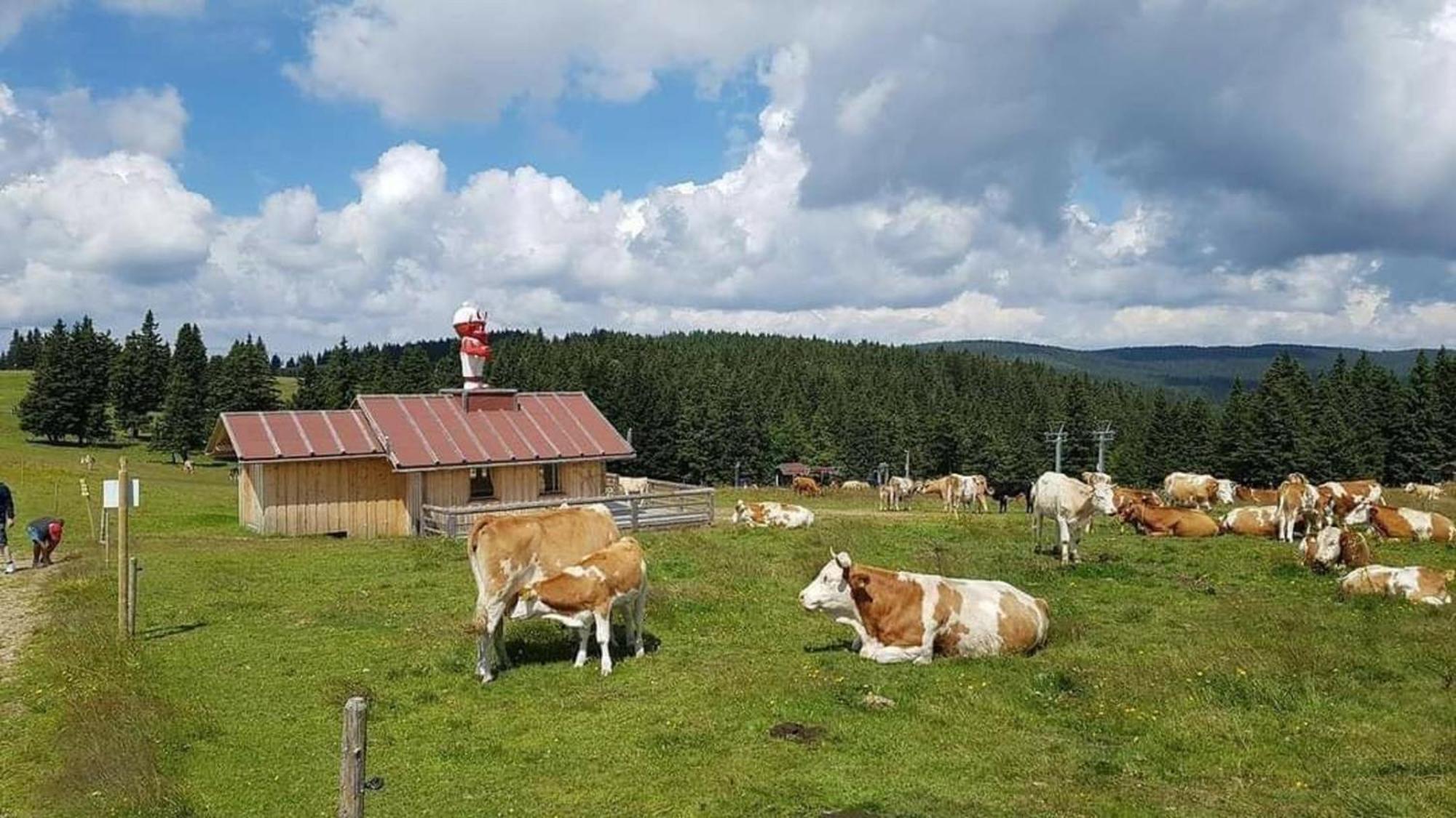 Rogla - Chalet Mojca Pokrajculja Zrece Exterior photo