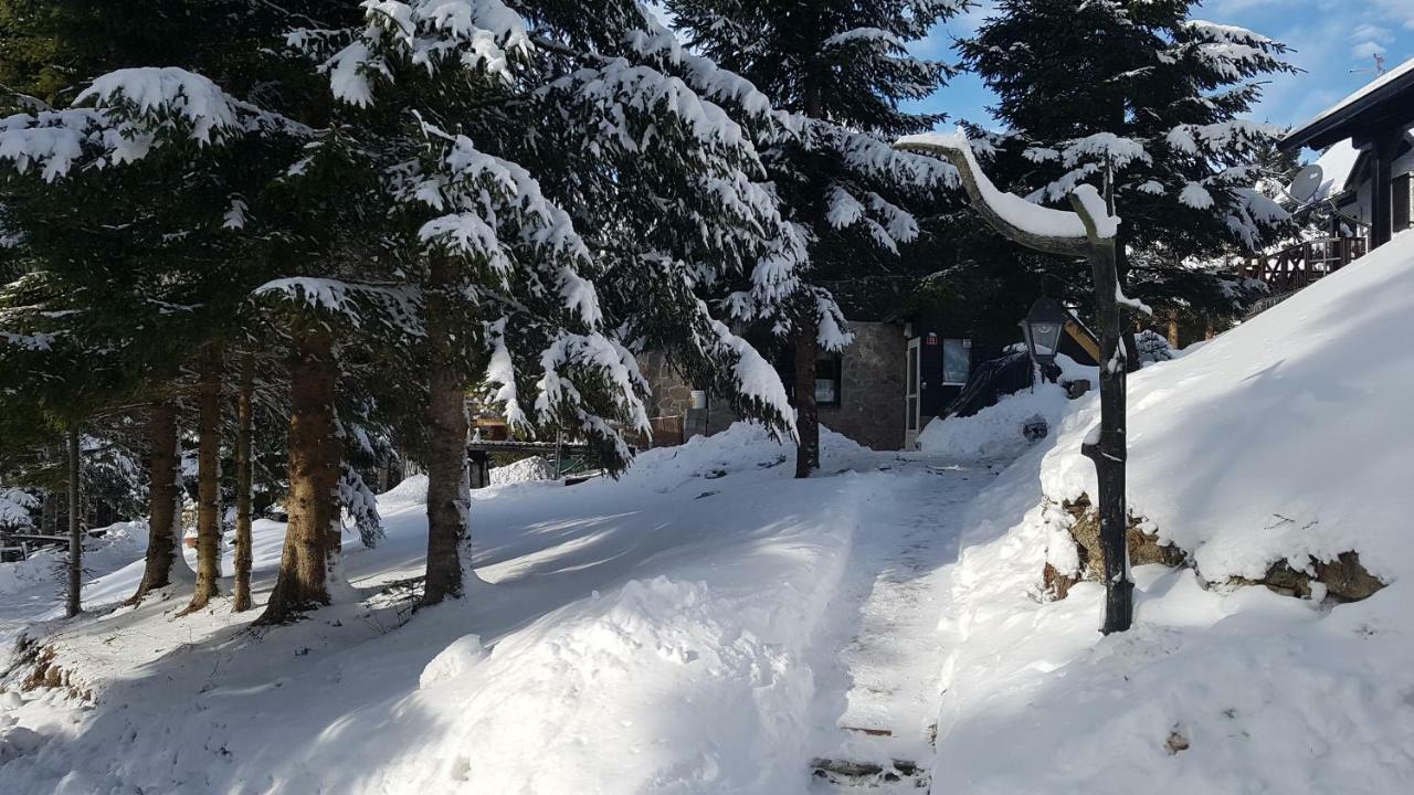 Rogla - Chalet Mojca Pokrajculja Zrece Exterior photo