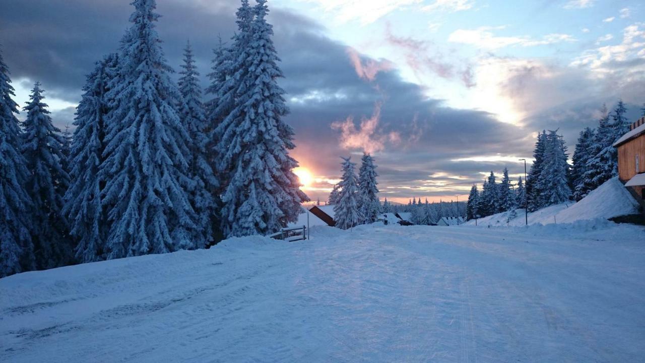 Rogla - Chalet Mojca Pokrajculja Zrece Exterior photo