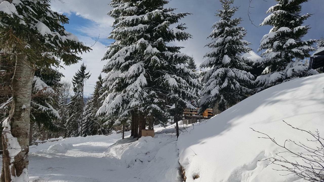 Rogla - Chalet Mojca Pokrajculja Zrece Exterior photo