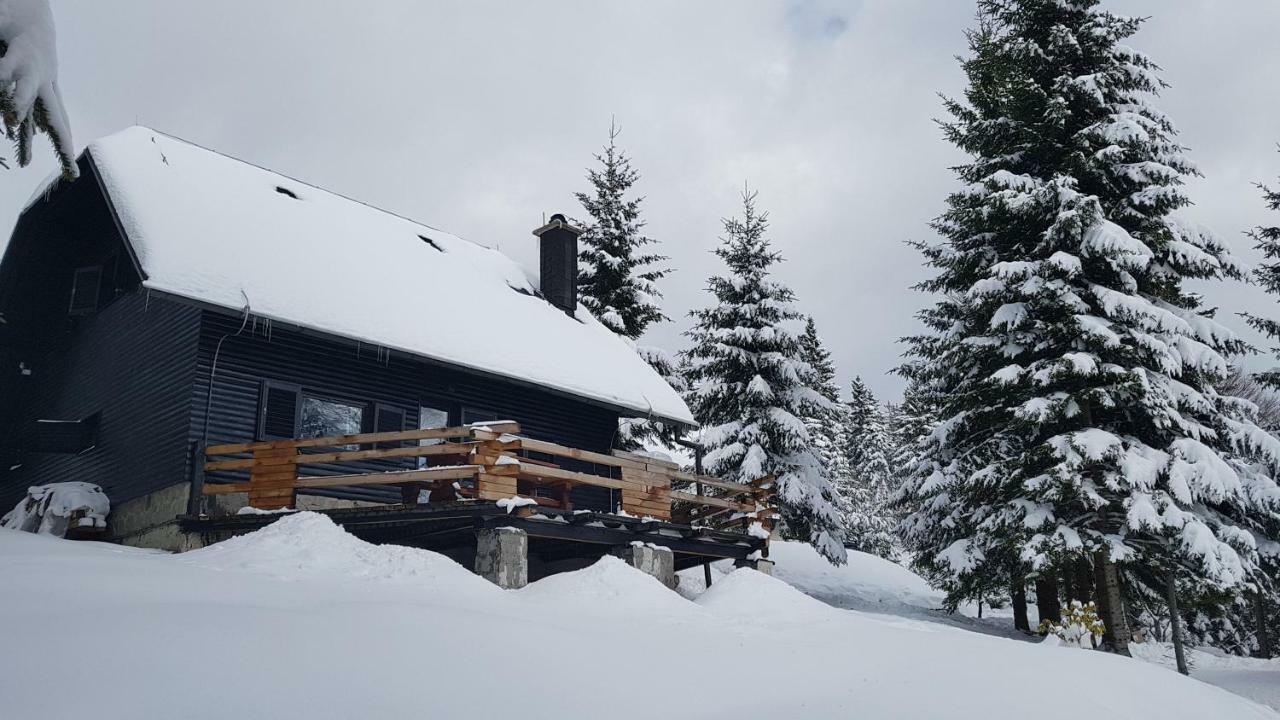 Rogla - Chalet Mojca Pokrajculja Zrece Exterior photo